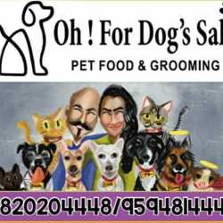 oh-for-dog-s-sake-andheri-west-mumbai-pet-grooming-services-wswe3yq4vz-250