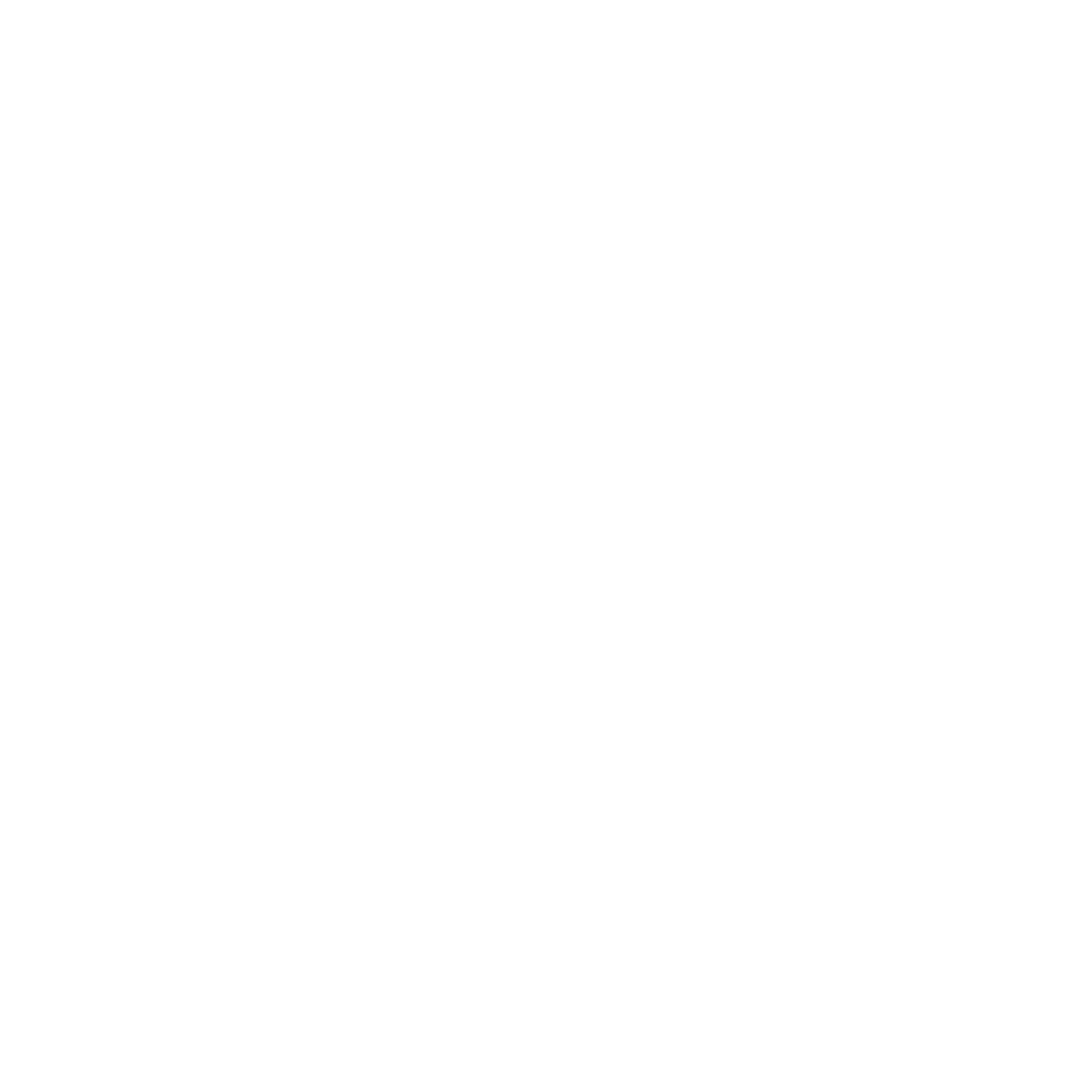 google-white-logo-0-2048x2048